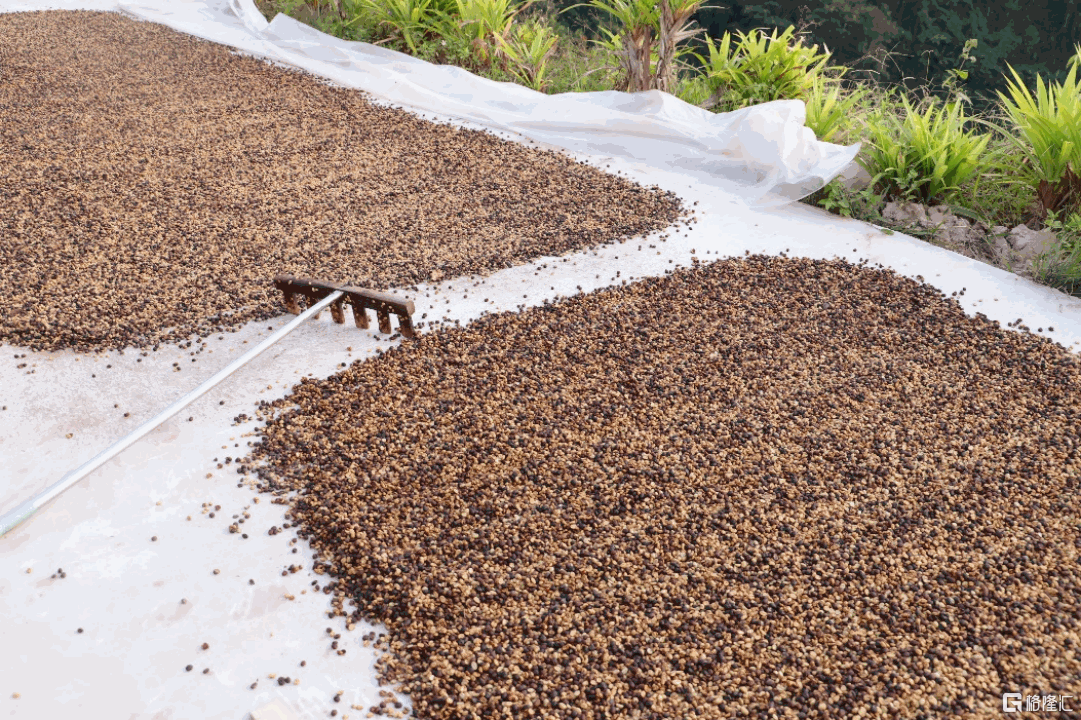 拼多多“千亿扶持”落地半年，“包邮区”持续扩大，更多地区享受便利网购服务